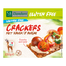 Damhert Nutrition Gluten Free Lactose Free Crackers met Haver