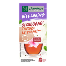 Damhert Thee Stoelgang