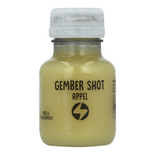 Gembershot