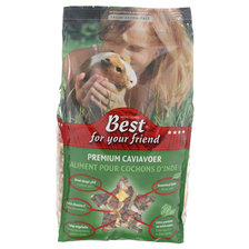 Best For Your Friend Caviavoer  Premium