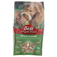 Best For Your Friend Caviavoer Premium