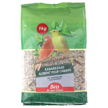 Best For Your Friend Kanariezaad